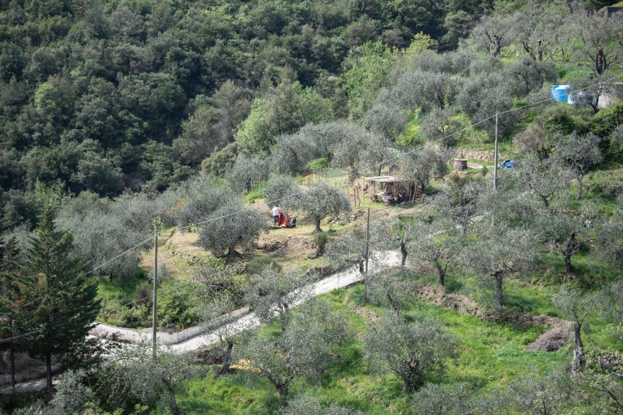 Nostro Rifugio Villa Apricale Exterior photo