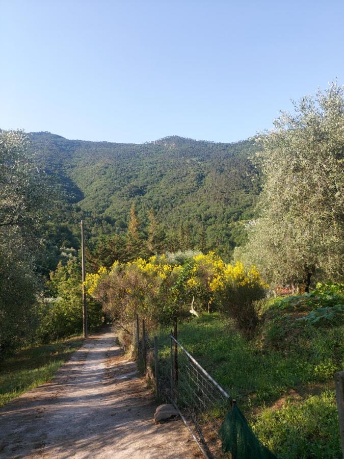 Nostro Rifugio Villa Apricale Exterior photo